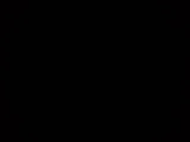 Used 2025 Ford Transit 250 Low Roof w/ Exterior Upgrade Package RWD image 25