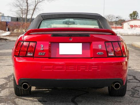 Used 1999 Ford Mustang Cobra RWD image 20