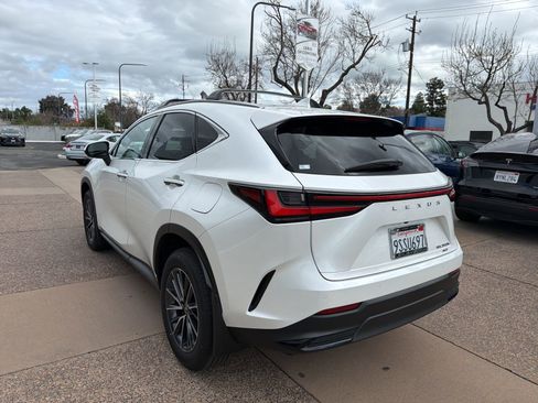 Used 2025 Lexus NX 350h AWD w/ Premium Package image 4