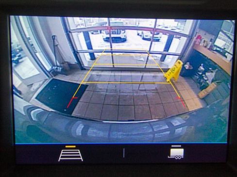 Used 2019 Chevrolet Silverado 1500 LT w/ All-Star Edition image 14