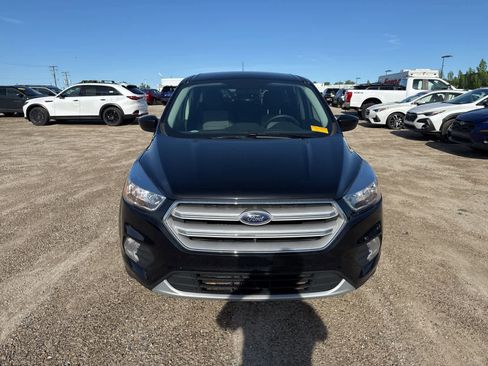 Used 2019 Ford Escape SE AWD/4WD image 10
