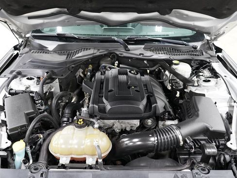 Used 2019 Ford Mustang Premium RWD image 19