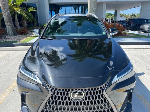 Used 2024 Lexus NX 250 FWD w/ Cold Area Package image 8
