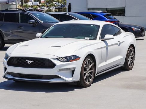 Used 2019 Ford Mustang Coupe w/ Wheel & Stripe Package RWD image 3