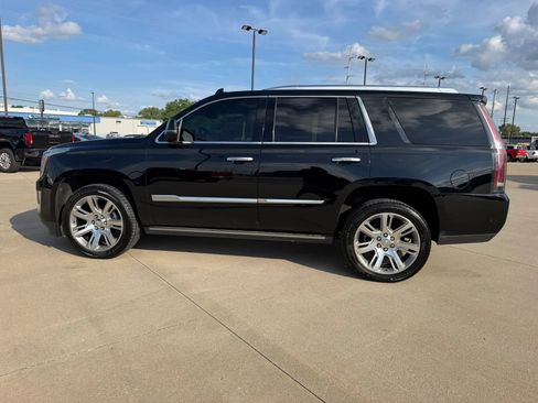 Used 2019 Cadillac Escalade Premium Luxury AWD/4WD image 10