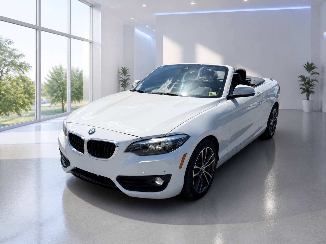 Used 2019 BMW 230i xDrive Convertible w/ Convenience Package AWD/4WD image 2