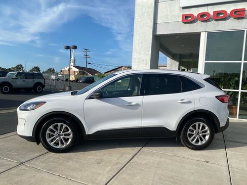 Used 2022 Ford Escape SE image 3