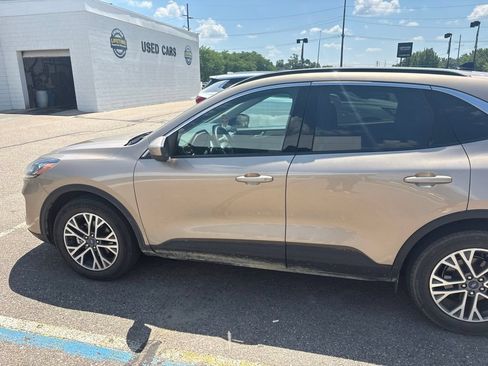 Used 2020 Ford Escape SEL AWD/4WD image 4