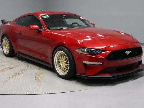 Used 2021 Ford Mustang Coupe w/ Equipment Group 101A RWD image 1