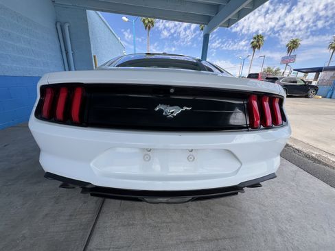 Used 2019 Ford Mustang EcoBoost Fastback image 4