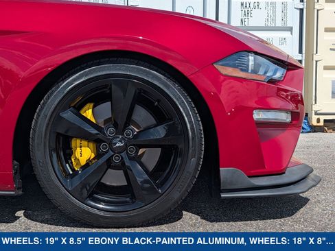 Used 2023 Ford Mustang GT w/ Equipment Group 301A RWD image 12
