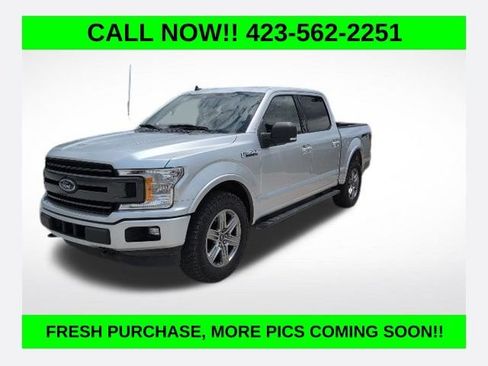 Used 2019 Ford F150 XLT w/ Equipment Group 302A Luxury AWD/4WD image 1