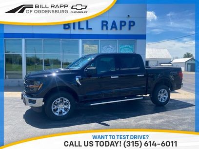 Used 2025 Ford F150 XLT w/ Equipment Group 301A Standard