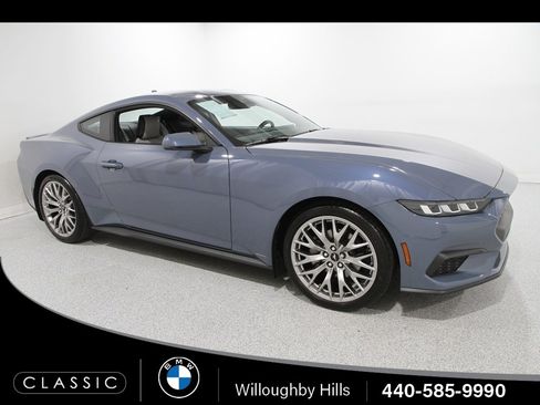 Used 2024 Ford Mustang Premium image 1