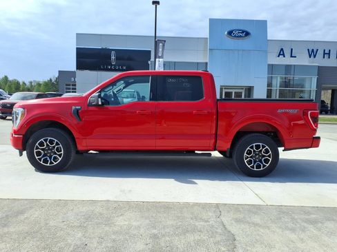 Used 2023 Ford F150 XLT w/ Equipment Group 302A High AWD/4WD image 2