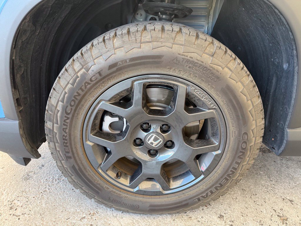 Used 2025 Honda Pilot TrailSport image 3
