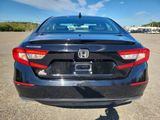 Used 2019 Honda Accord EX image 6
