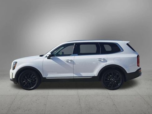Certified 2021 Kia Telluride SX image 2