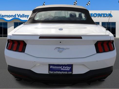 Used 2024 Ford Mustang Premium image 5