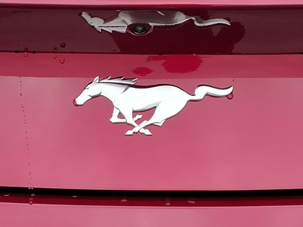 New 2026 Ford Mustang Premium RWD image 24