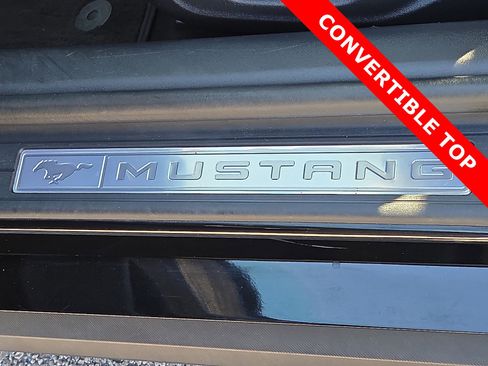 Used 2024 Ford Mustang Premium image 8