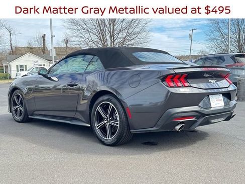 Used 2024 Ford Mustang Premium image 5