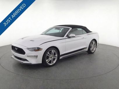 Used 2019 Ford Mustang Premium w/ Equipment Group 201A