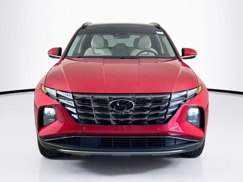 Used 2023 Hyundai Tucson Limited AWD/4WD image 2