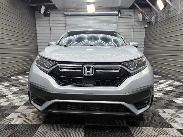 Used 2020 Honda CR-V EX-L image 4