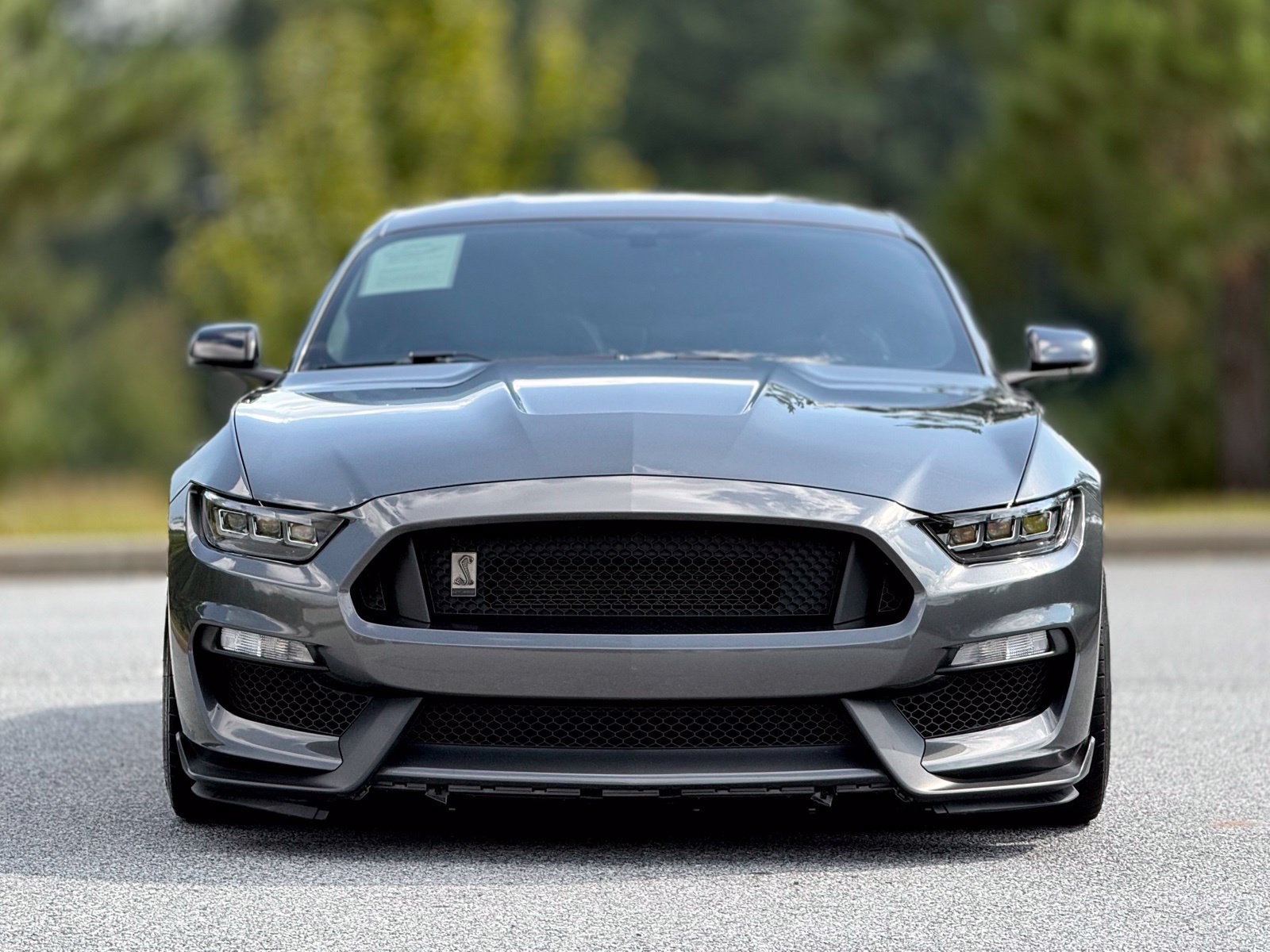 Used 2017 Ford Mustang Shelby GT350 RWD image 3
