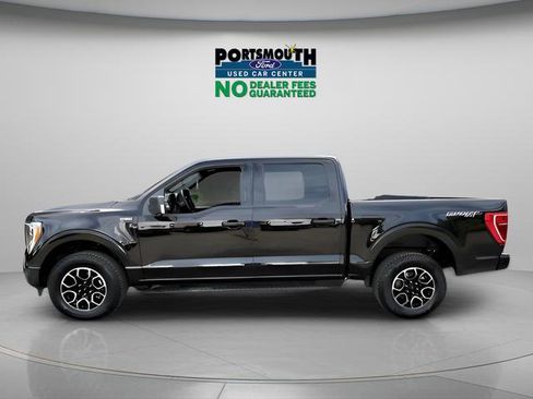 Used 2023 Ford F150 XLT w/ Equipment Group 302A High image 2