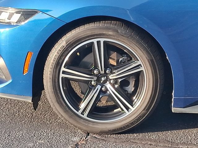 Used 2024 Ford Mustang Premium RWD image 8