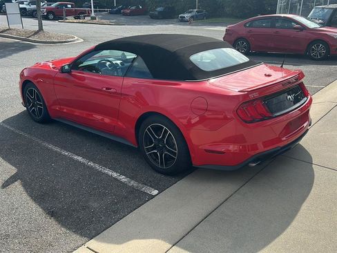 Used 2019 Ford Mustang Premium RWD image 3