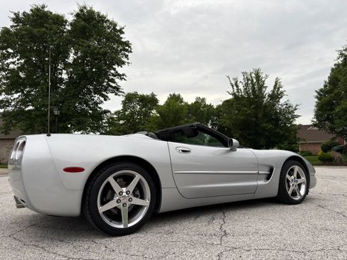 Used 1999 Chevrolet Corvette Convertible w/ Performance Handling Pkg RWD image 3