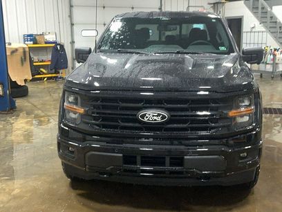 New 2025 Ford F150 XLT w/ Equipment Group 302A MID