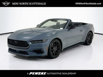 Used 2025 Ford Mustang Premium w/ Mustang Nite Pony Package