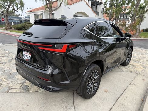 Used 2024 Lexus NX 250 FWD w/ Cold Area Package image 5