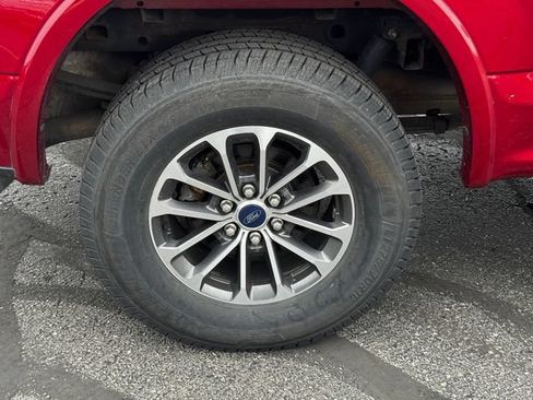 Used 2019 Ford F150 XLT w/ Equipment Group 302A Luxury AWD/4WD image 12