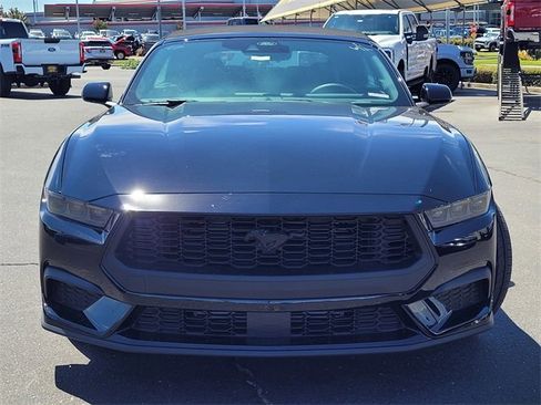 New 2025 Ford Mustang Convertible w/ Mustang Nite Pony Package image 2