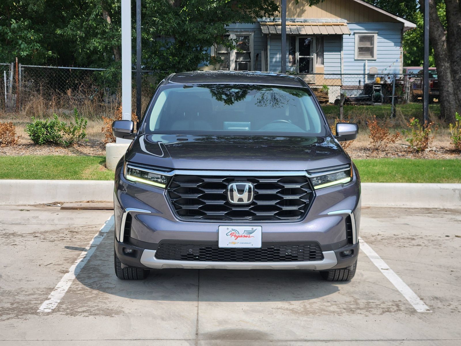 Used 2025 Honda Pilot EX-L image 6