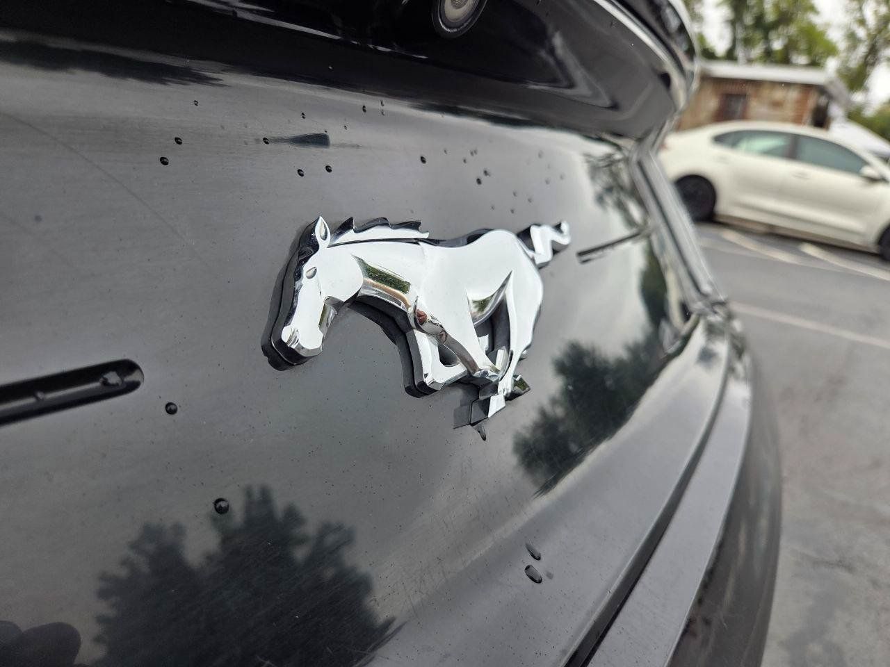 Used 2016 Ford Mustang Premium RWD image 8