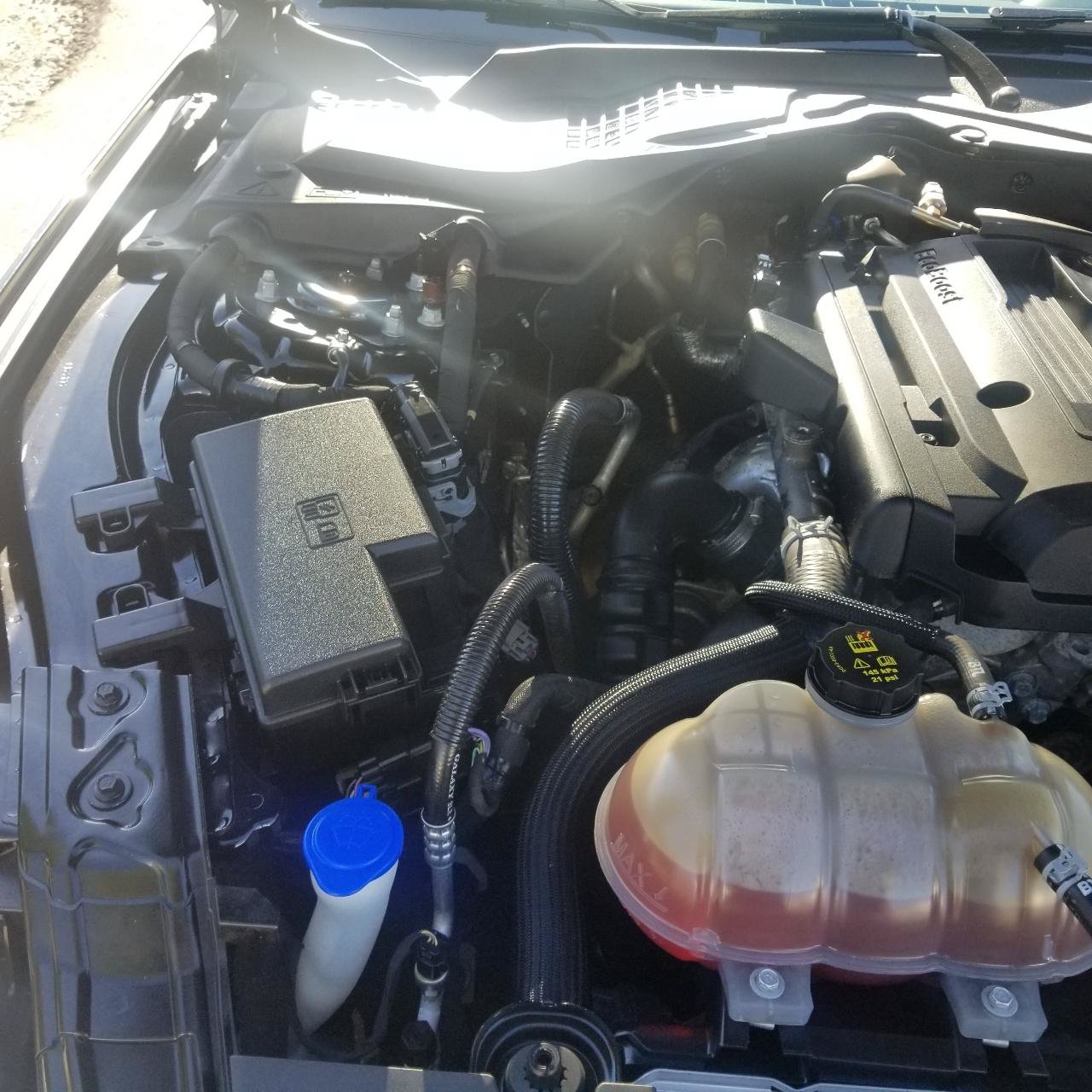 Used 2020 Ford Mustang Premium RWD image 20