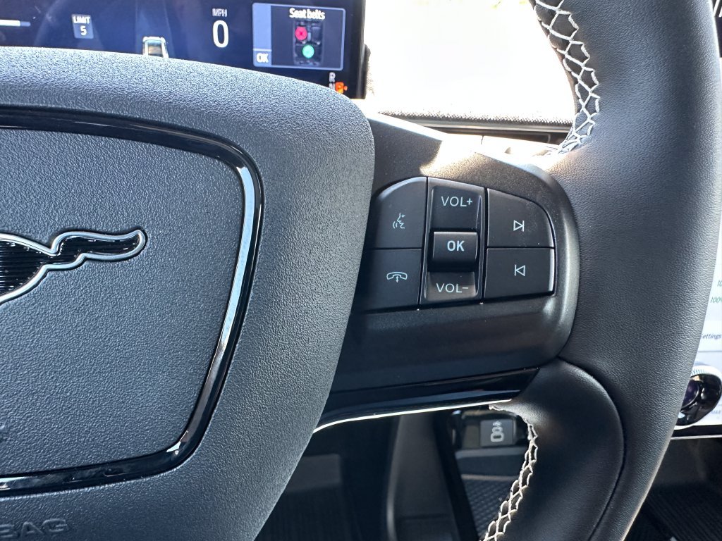 New 2025 Ford Mustang Mach-E GT w/ Interior Protection Package AWD/4WD image 25
