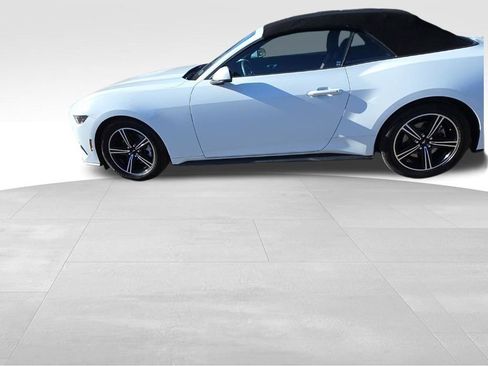 Used 2025 Ford Mustang Premium image 16