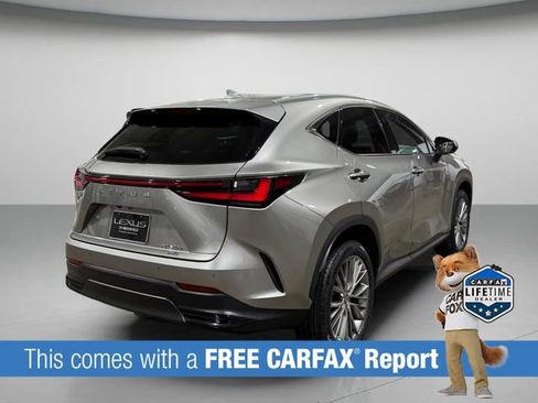 Used 2023 Lexus NX 350 AWD image 3