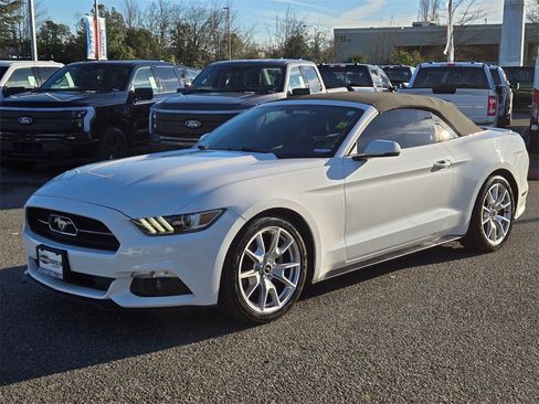 Used 2015 Ford Mustang Premium w/ Equipment Group 201A image 1