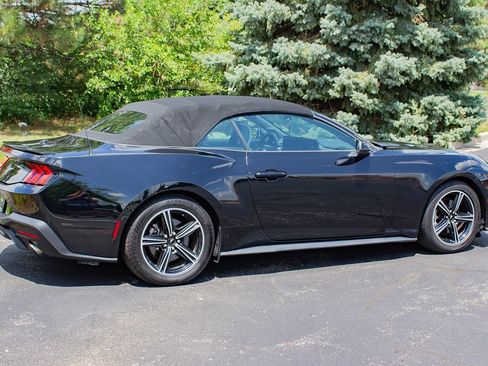 Used 2024 Ford Mustang EcoBoost Premium Convertible 2 RWD image 9
