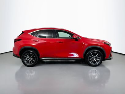 Used 2024 Lexus NX 250 FWD w/ Cold Area Package