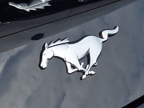 New 2025 Ford Mustang Coupe image 27