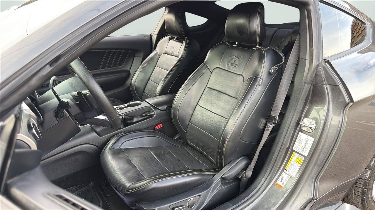 Used 2015 Ford Mustang GT Premium w/ Equipment Group 401A RWD image 12